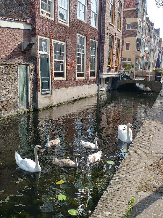 De Vliegende Vos Het Geboortehuis Van Johannes Vermeer Delft Esterno foto
